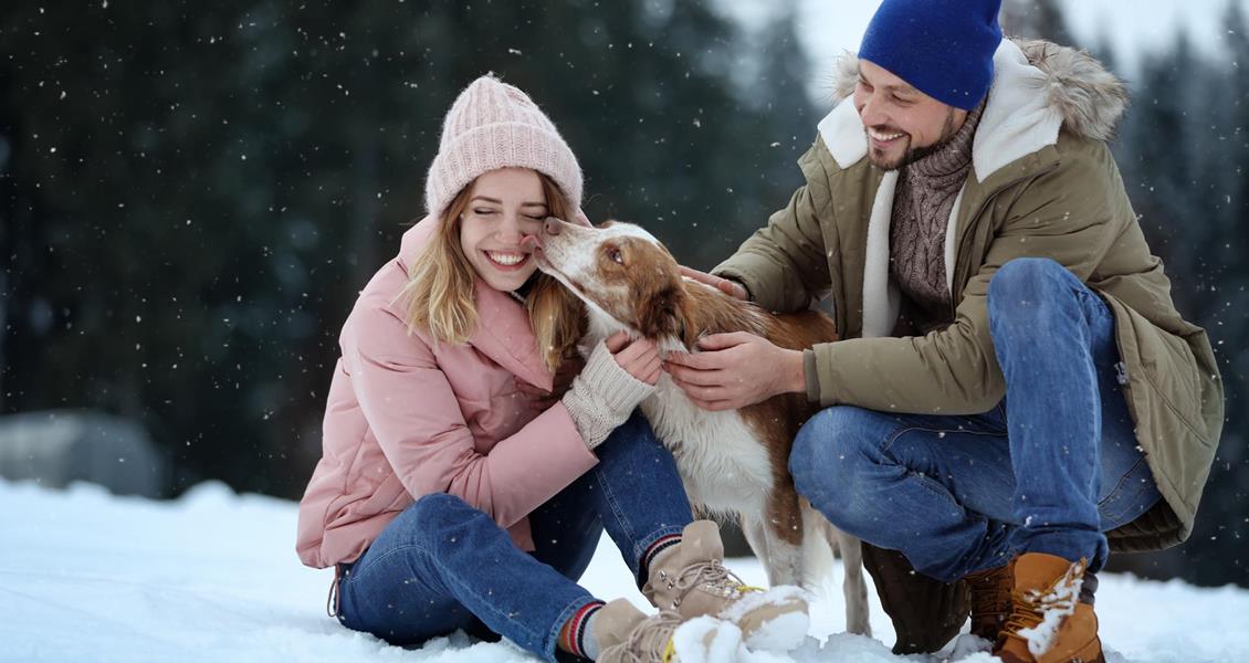 Ein Paar mit einem Hund